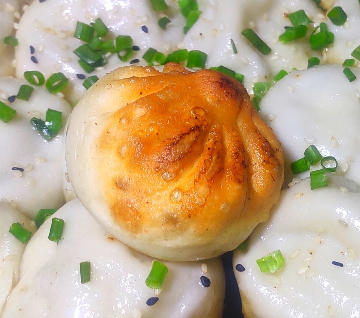 老上海美食灌汤生煎包.