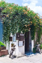 DSC05929