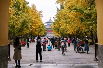 DSC02617