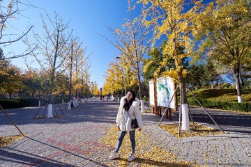 DSC02704