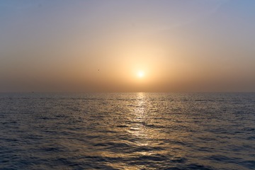 DSC05486