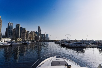 DSC05381