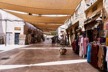 DSC05087