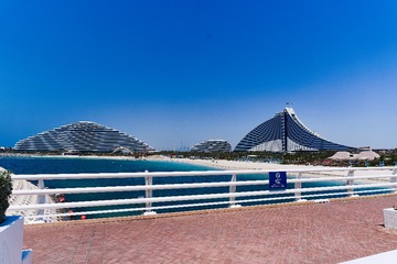 DSC05230