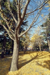 DSC02894