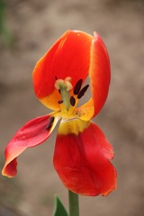 001