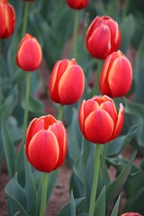 001