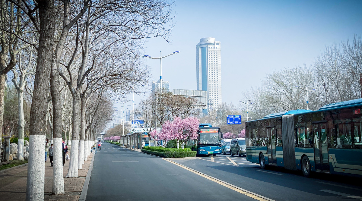秋去春来济南经十路走了一遍又一遍我要在这里拍个几十遍哈哈哈各位