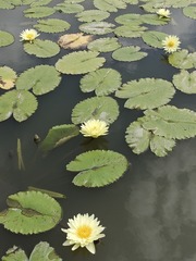 1000001637