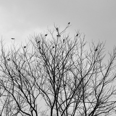 6DFD9F59-F816-416C-908F-8F89FD46999A/L0/001