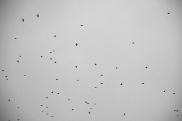 C1DEB2F9-FAFE-488B-A2BA-0D4913C2C98C/L0/001