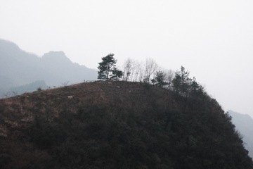 8661F00F-5DEB-471D-844A-BF478BF4C380/L0/001