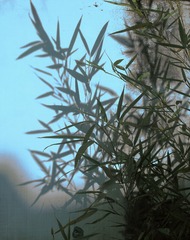 3E743CE0-011E-4E91-B9A0-4BD62341EBD0/L0/001