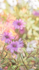 996BD3AA-F80C-45A7-BDF0-65A0A36B632D/L0/001