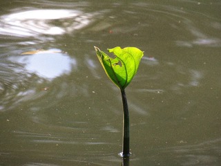 304040