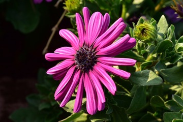 DSC_0103 (2)