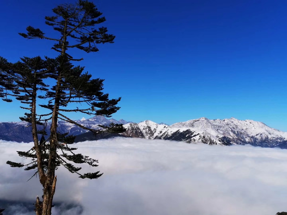 你是选江山还是这云海 - 立足山巅踏遍星河 - 图虫