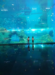 1503036