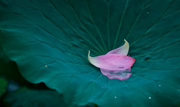 43539F78-A309-4A16-97F1-EBB14D0D08C8/L0/001