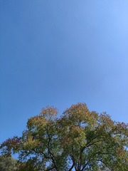 1000013643