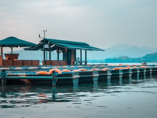 西湖游船