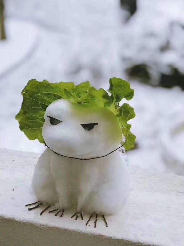 冬至床边，小雪手机拍摄