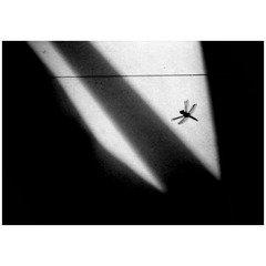 C669BA48-D8E1-49AD-B47F-73FD06385B6A/L0/001
