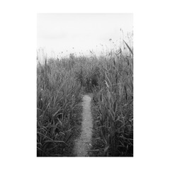 13634B99-F302-4CBE-A4EE-9BCFC28AE5AD/L0/001