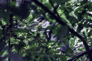 65902D0F-B75F-4C96-9595-0F390F5465C0/L0/001