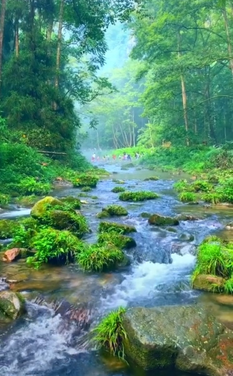 泉水叮咚 - 十六哥 - 图虫