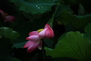 001