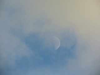 1308029