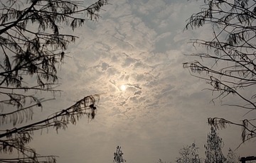 B8C28DF0-8F16-4345-B668-F2360281A061/L0/001