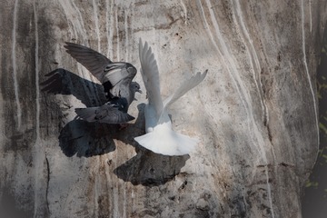 71927
