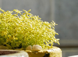 320166