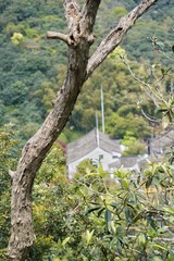 AB0E205B-7346-4253-B62B-A7ED6AA2F31A/L0/001