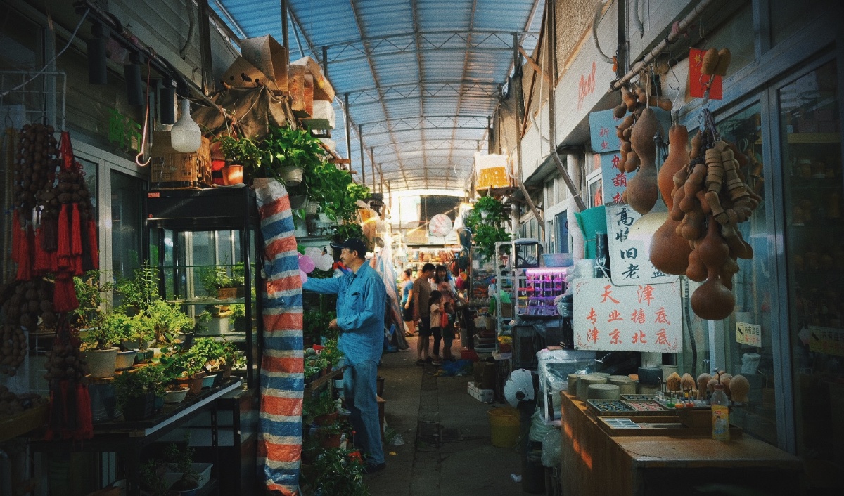 万商这个陪伴上海人二十年的花鸟市场在听说七月三十一日关闭赶到最后