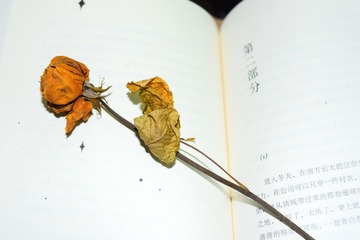 2335BD01-B644-45A8-A493-57DA46CC6508/L0/001