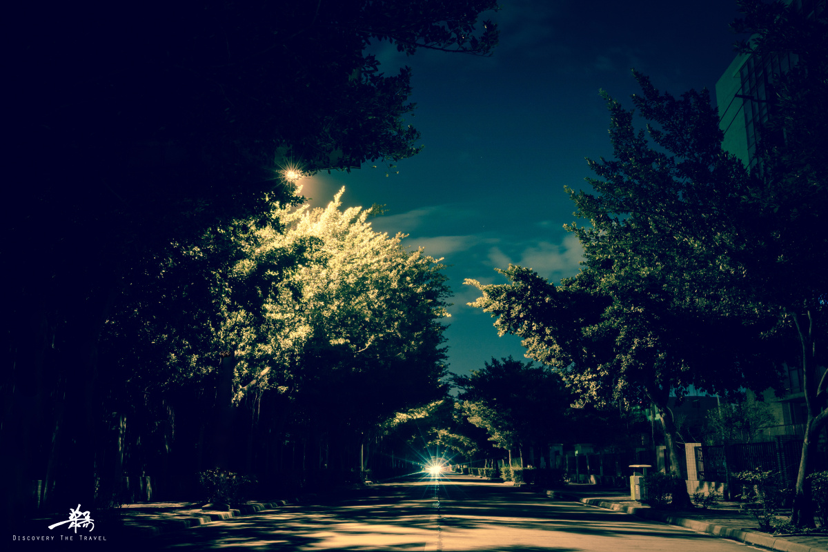 深夜的城市中孤独的你