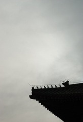 DSC_1817b