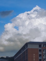 384516