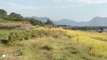 630644
