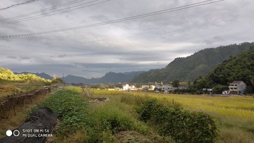 630631