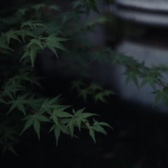 8740482F-03DA-435F-B702-808311264F49/L0/001