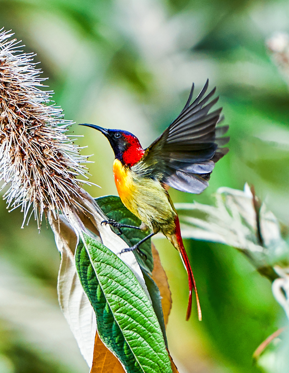 摄影师仇绍强 - 图虫