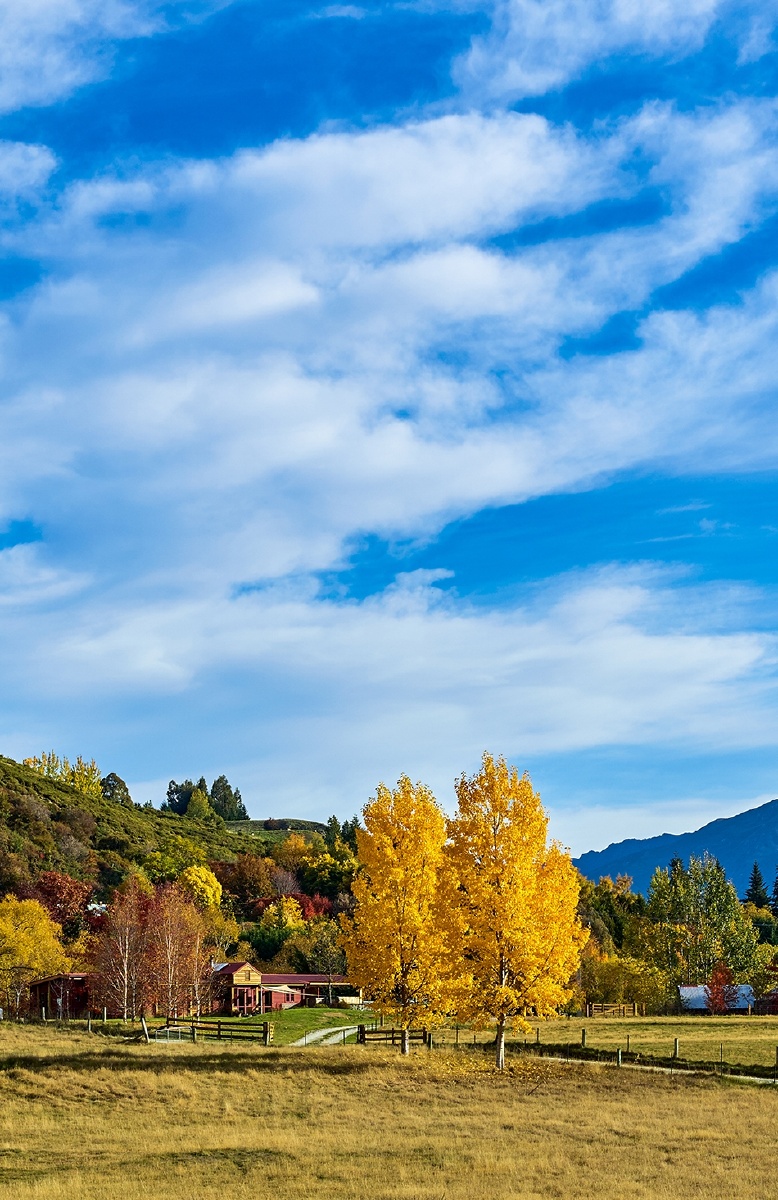 旅途留影乡村秋色