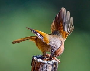 100290