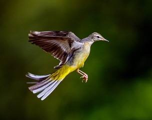 100286