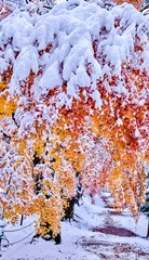 20120