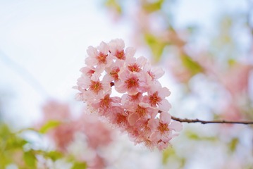 01BFA1FC-625C-4CA1-8FC0-0535C5BB71E0/L0/001